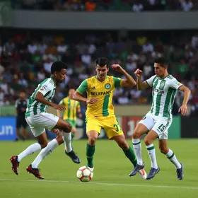 Palmeiras e Novorizontino