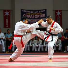 Copa Open de Kung-Fu