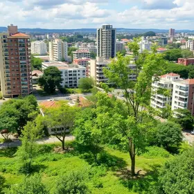 ampliação da arborização