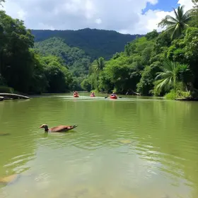 Rio Cotia